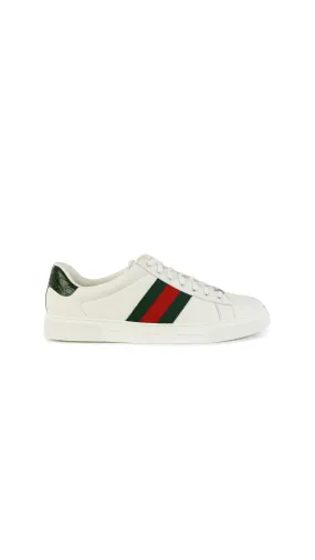 Ace Sneaker with Web - White/Red/Green