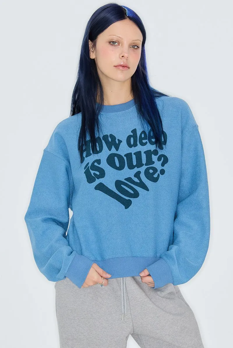 LUV IS TRUE  |Heart Sweat Street Style Long Sleeves Logo