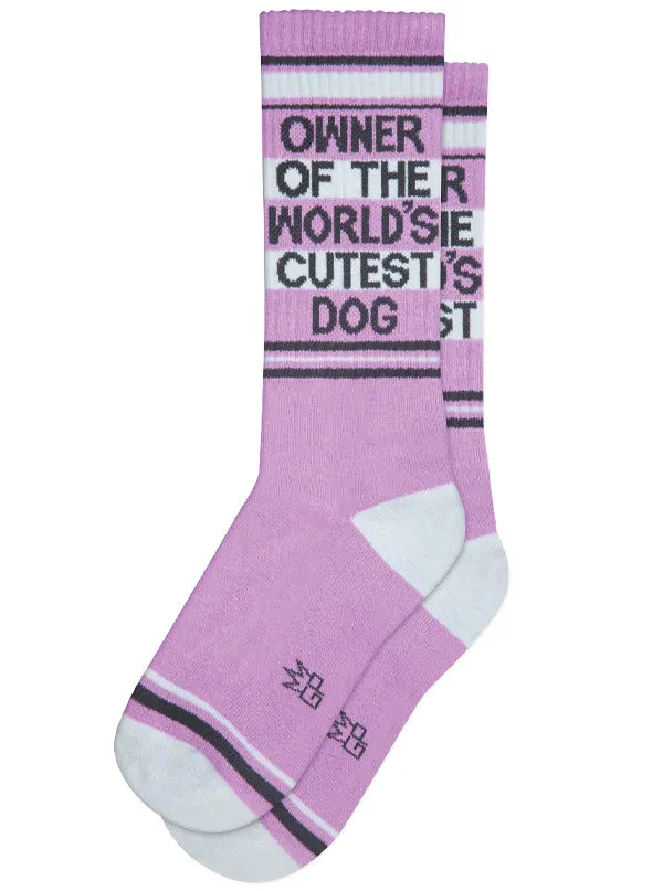 Owner Of The World's Cutest Dog Ribbed Gym Socks