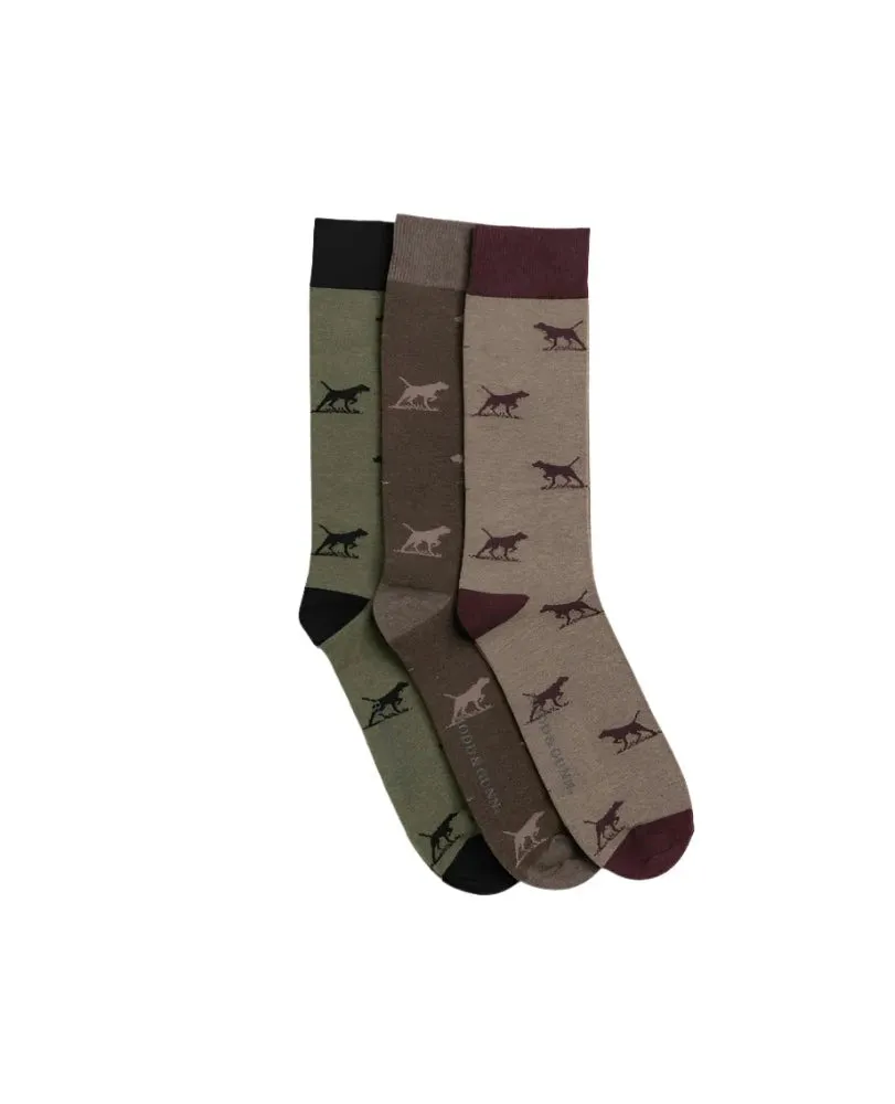 Rodd & Gunn - Dogs-A-Plenty Three Pack Socks